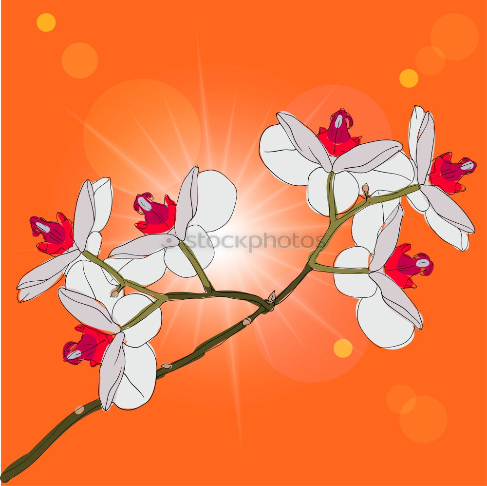 Similar – Image, Stock Photo chaenomeles japonica on coral color