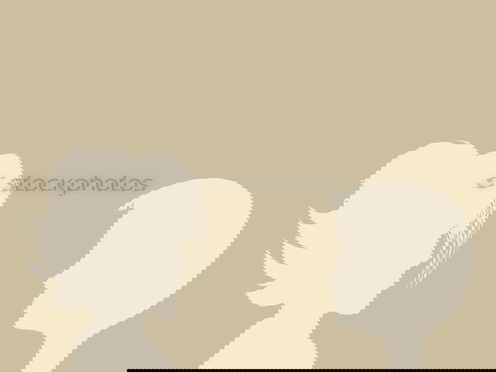 Similar – Foto Bild Shadow Scream Design