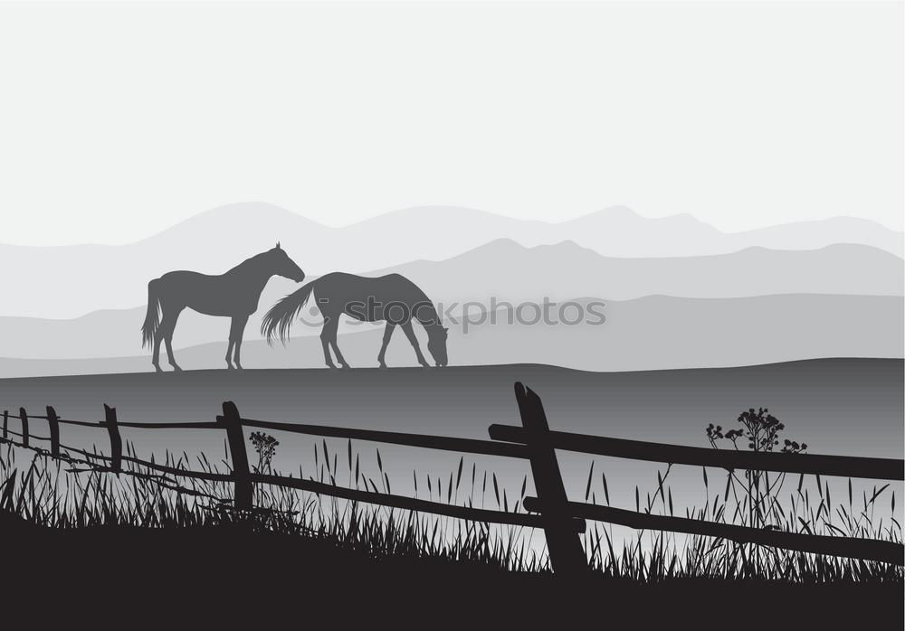 Similar – Image, Stock Photo steppe ride Ride Nature