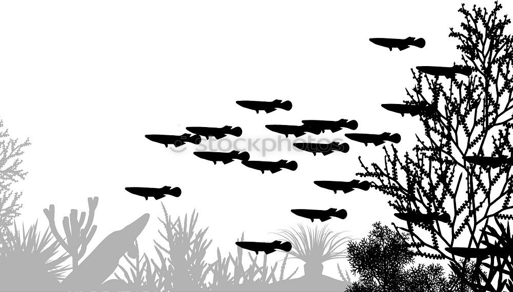 Similar – Image, Stock Photo captured Animal