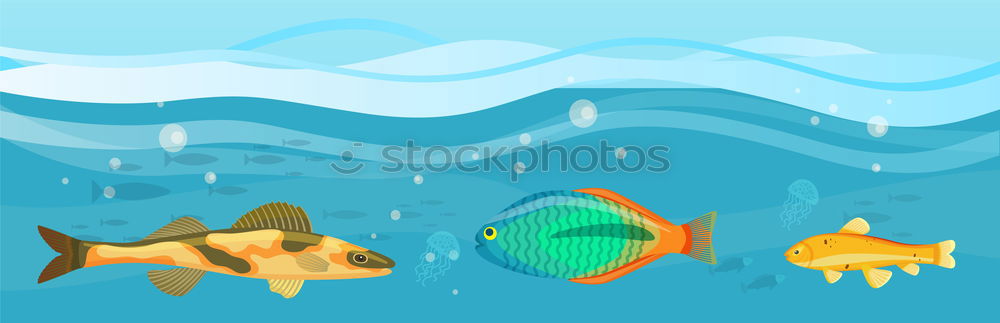 Similar – Shining fish Zoo Fish 1