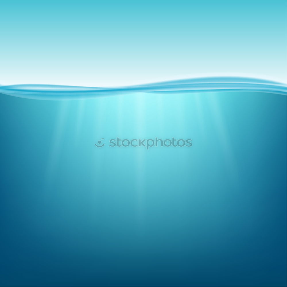 Image, Stock Photo NoPups Colour photo