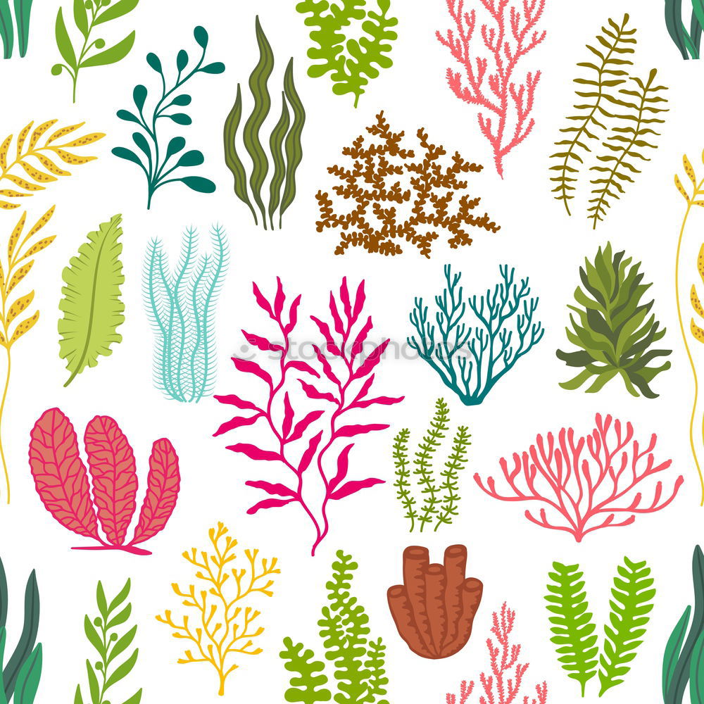 Similar – Image, Stock Photo Layout with various tropical palms and fern leaves