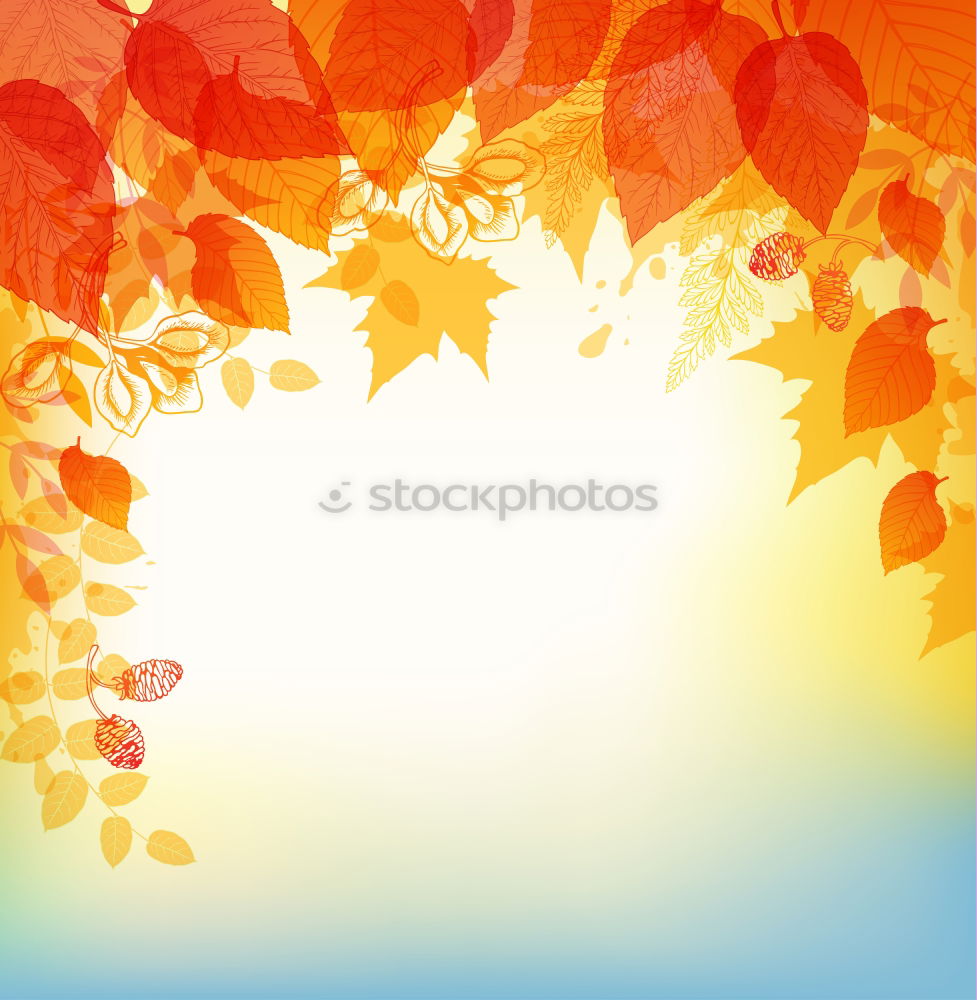 Similar – Image, Stock Photo Fresh into autumn…(IX)