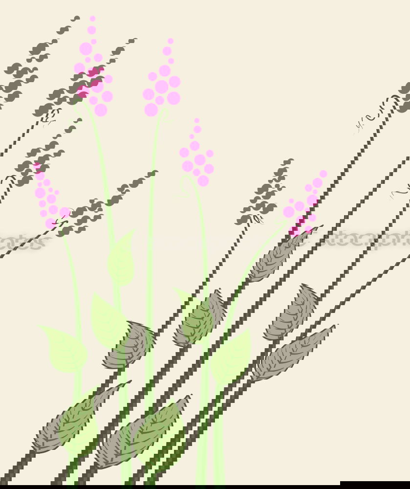 Similar – Image, Stock Photo FADE AWAY. Flower