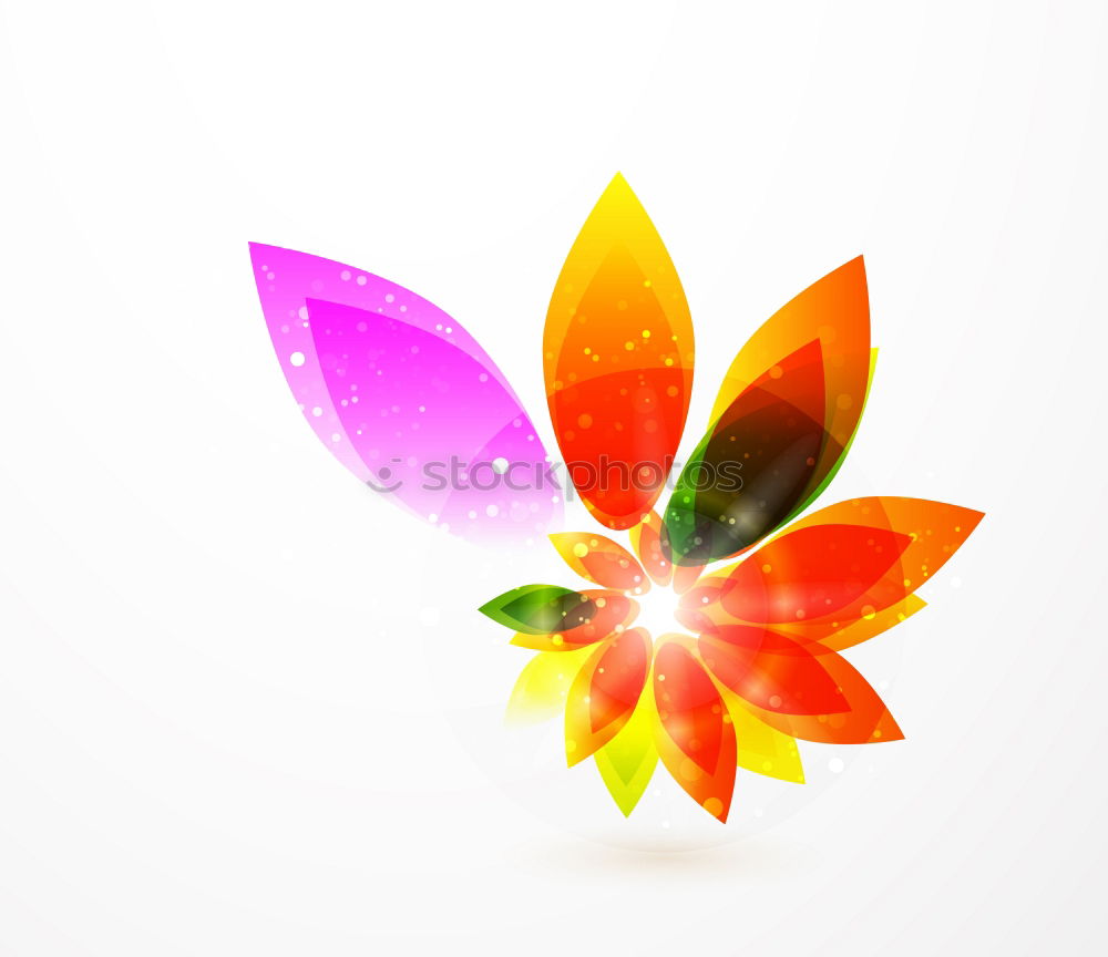 Similar – Image, Stock Photo Bird of Paradise [1]