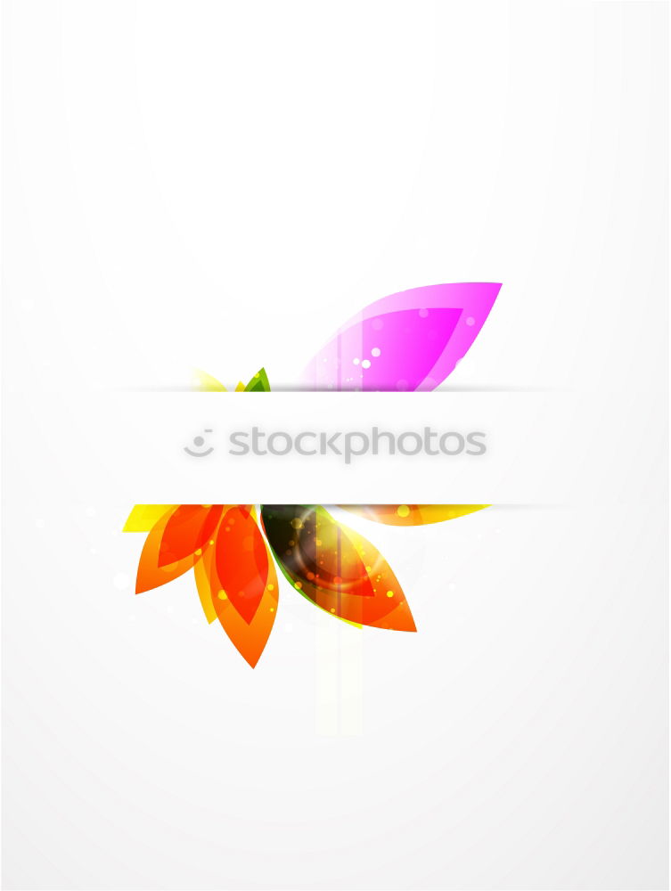 Similar – Image, Stock Photo Bird of Paradise [1]