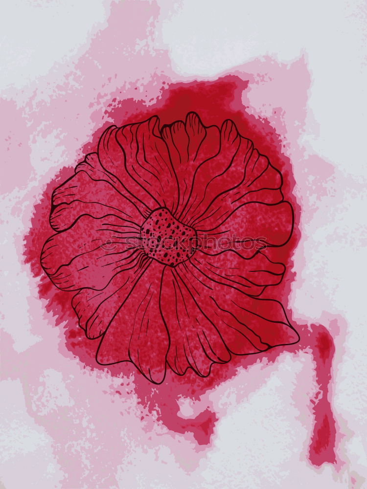 Similar – Image, Stock Photo Turkish; poppy seed; papaver; oriental;