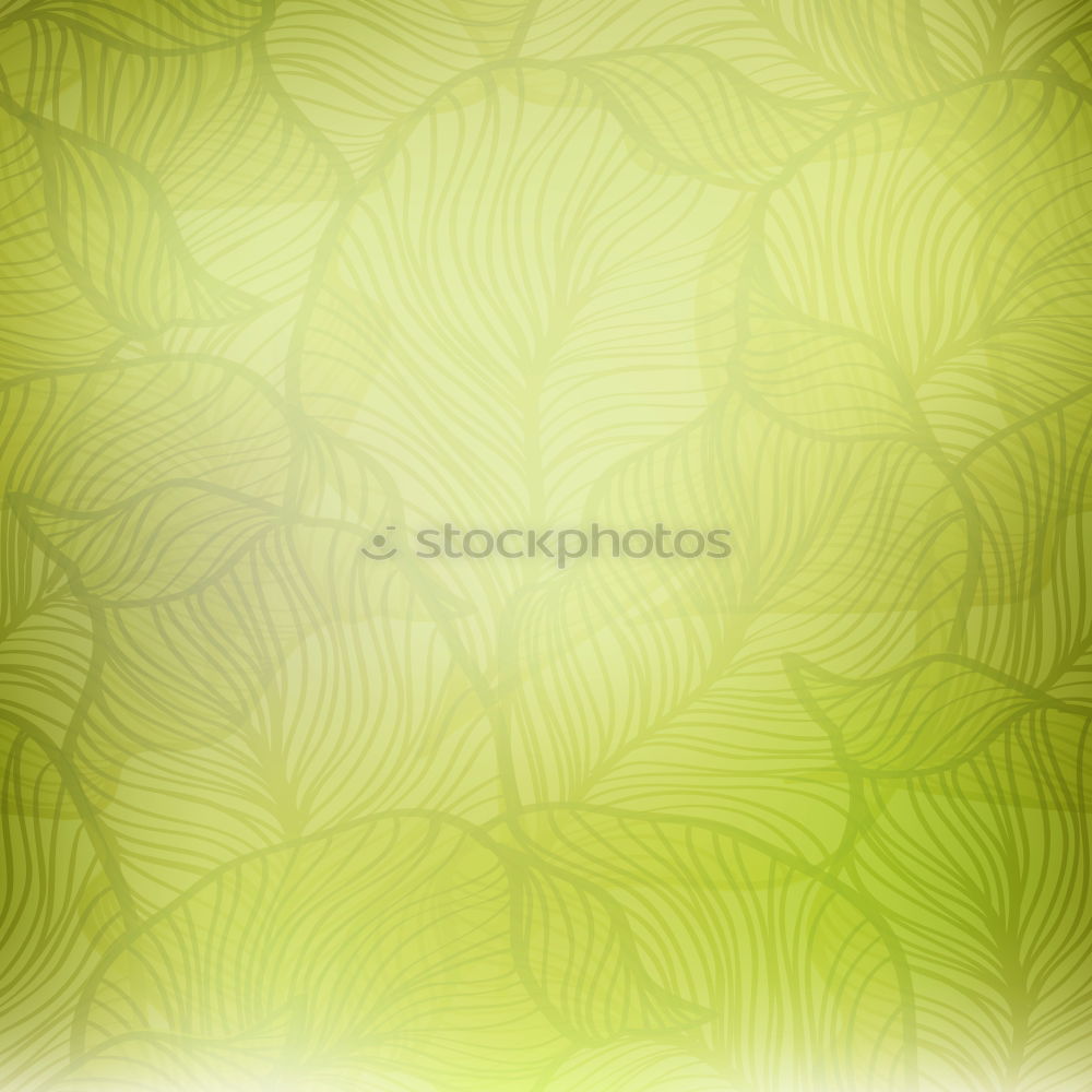 Similar – Image, Stock Photo ginkgo Ginko China Tree