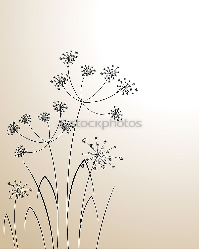 Image, Stock Photo backlit summer meadow