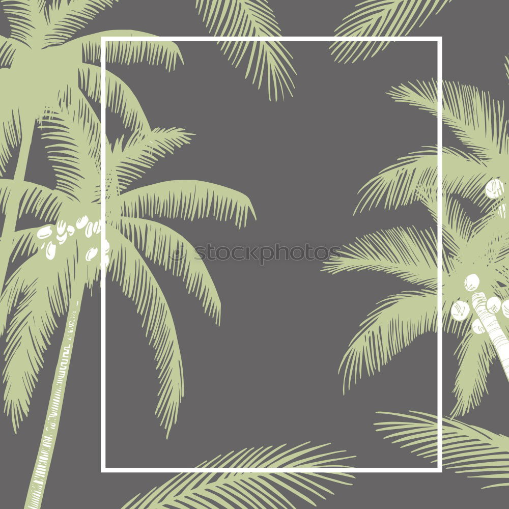 Similar – Foto Bild Huntington Beach, California