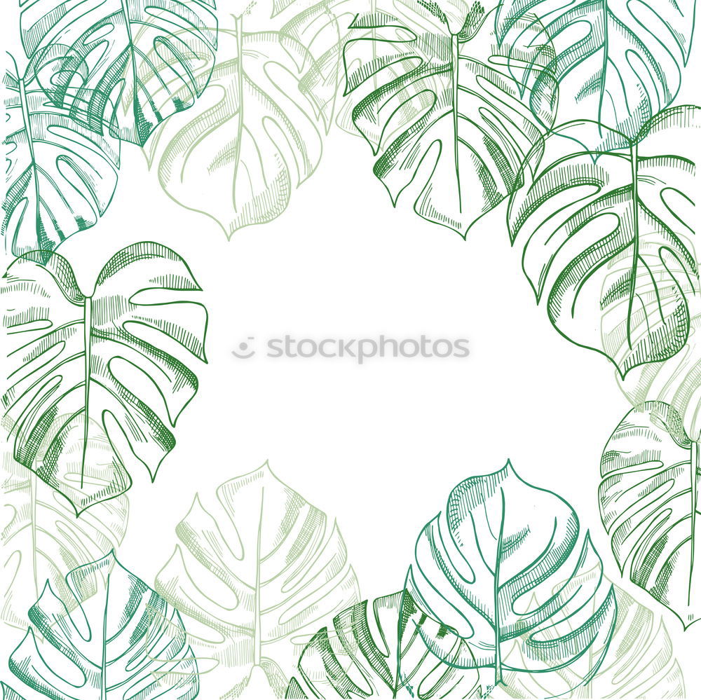 Similar – Image, Stock Photo Frames of tropical plants and fern leaves