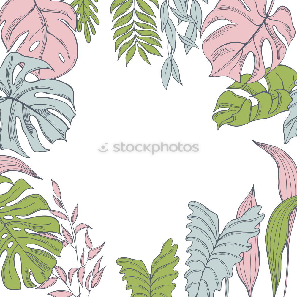 Image, Stock Photo Frames of tropical plants and fern leaves