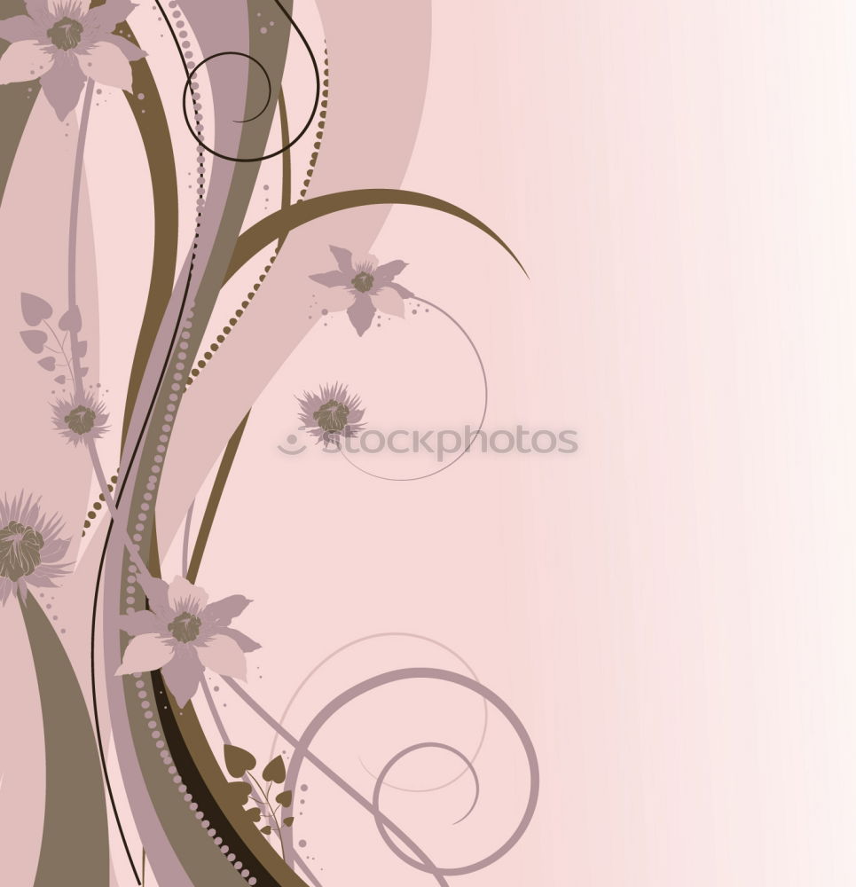 Similar – Lavender bouquet on pink-pink background