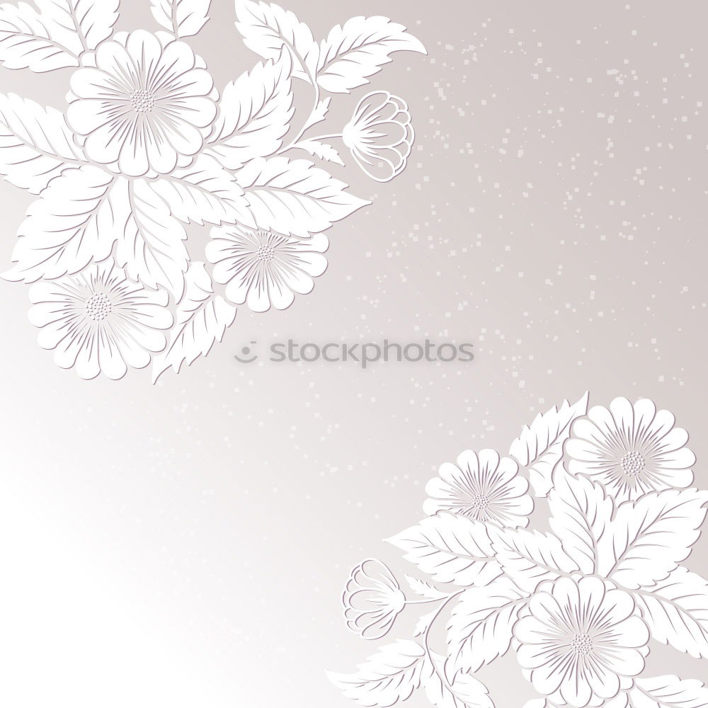 Similar – Image, Stock Photo White flowers background