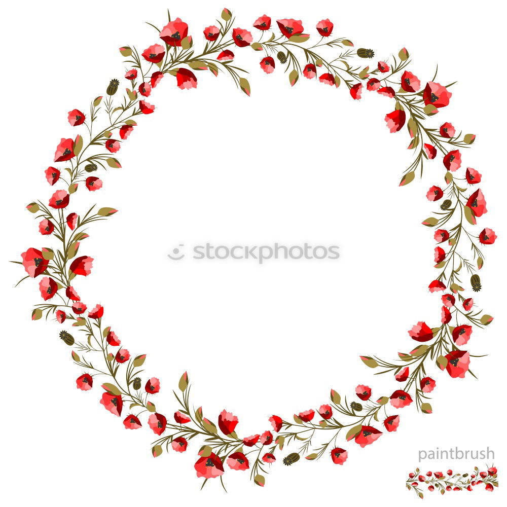 Flowers on a white background