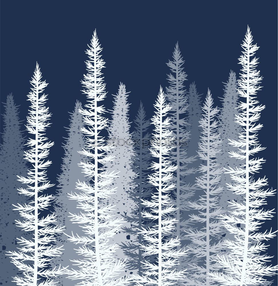 Similar – winter firs