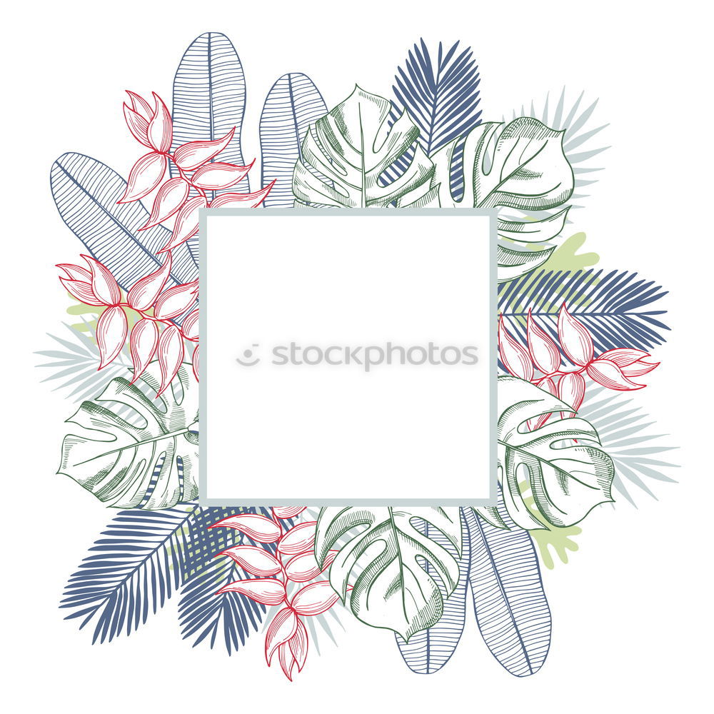 Similar – Watercolor Bohemian golden frame with dried leaves and tropical flowers illustration