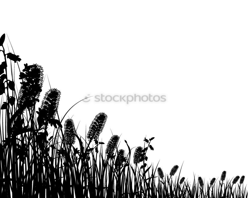 Similar – Image, Stock Photo Spring awakening IR