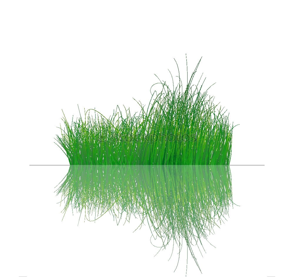 Similar – gras²