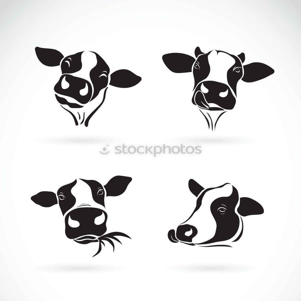 Similar – Image, Stock Photo organic milk Cow