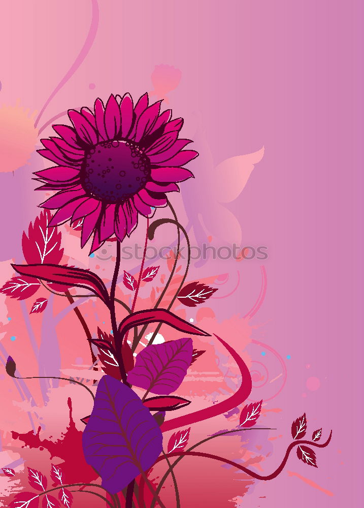 Similar – Image, Stock Photo white gerbera with pink gypsophila against a pink background