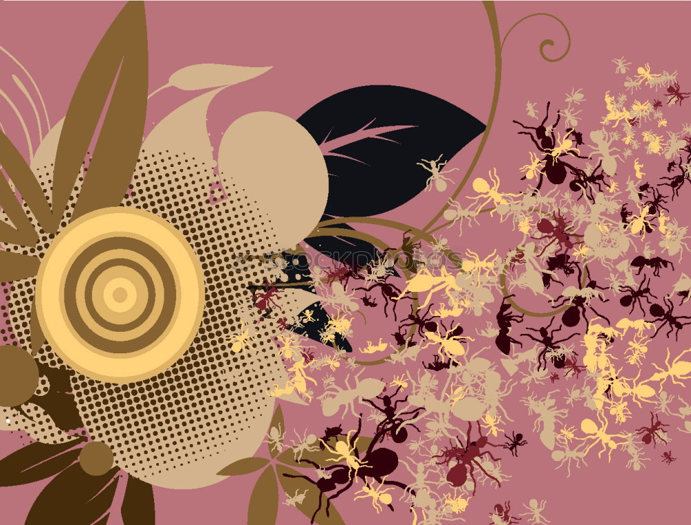 Similar – Image, Stock Photo Rock pear blossoms Garden