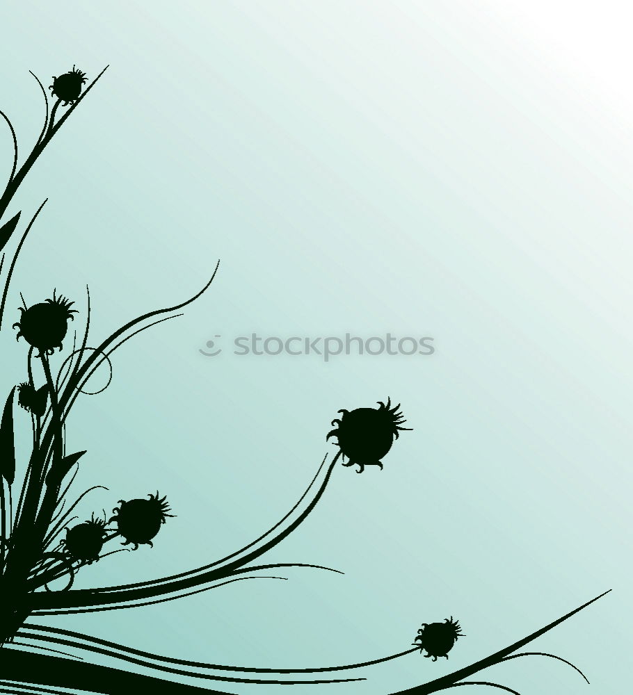 Similar – Foto Bild DISTELN I Winter ruhig