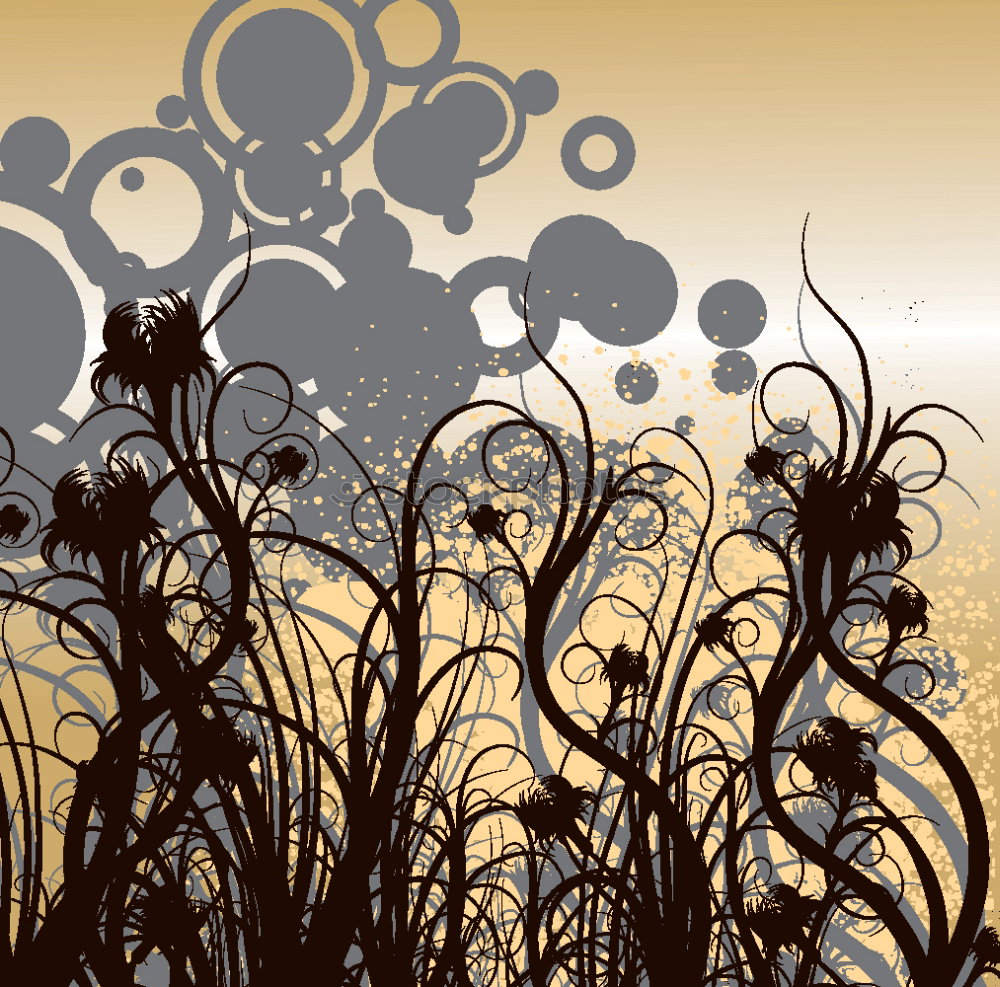 Similar – Image, Stock Photo Dry process 2 Elder