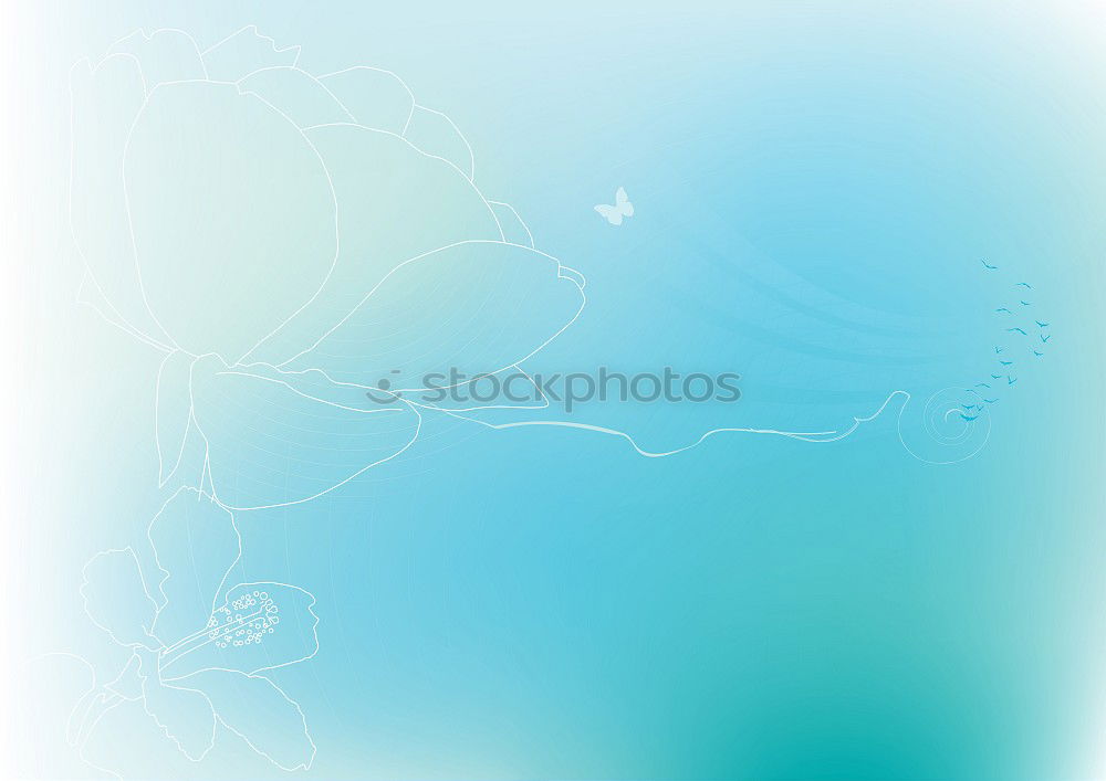 Similar – Image, Stock Photo Light blue background with small white flowers