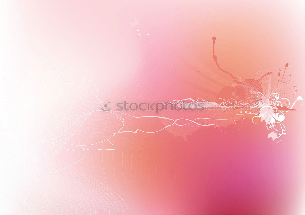 Similar – Image, Stock Photo rose blossom Elegant