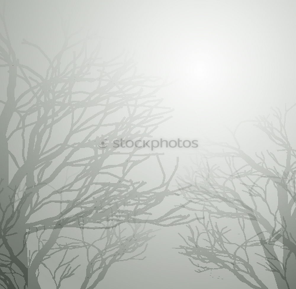 Similar – foggy woods #7 Fog