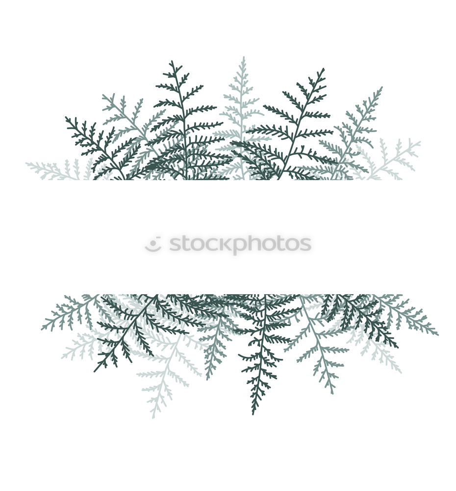 Similar – Old fern Plant Leaf