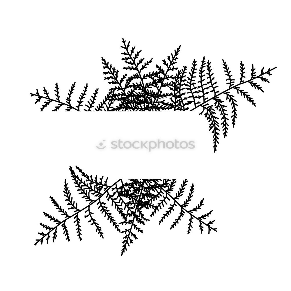 Similar – Old fern Plant Leaf