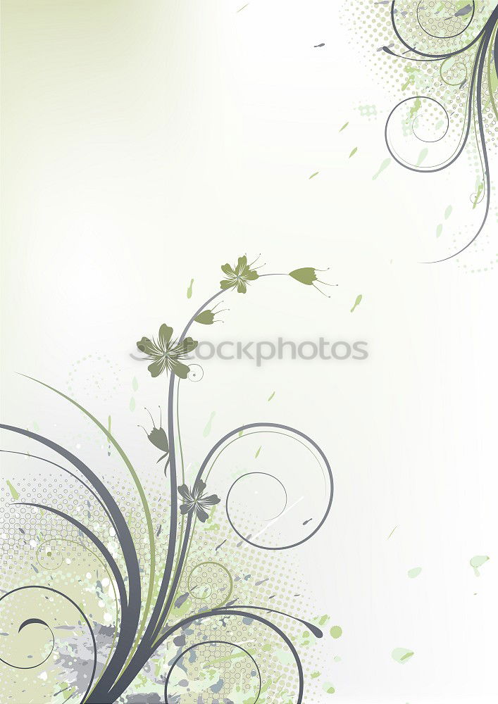 Similar – White flowers with bokeh