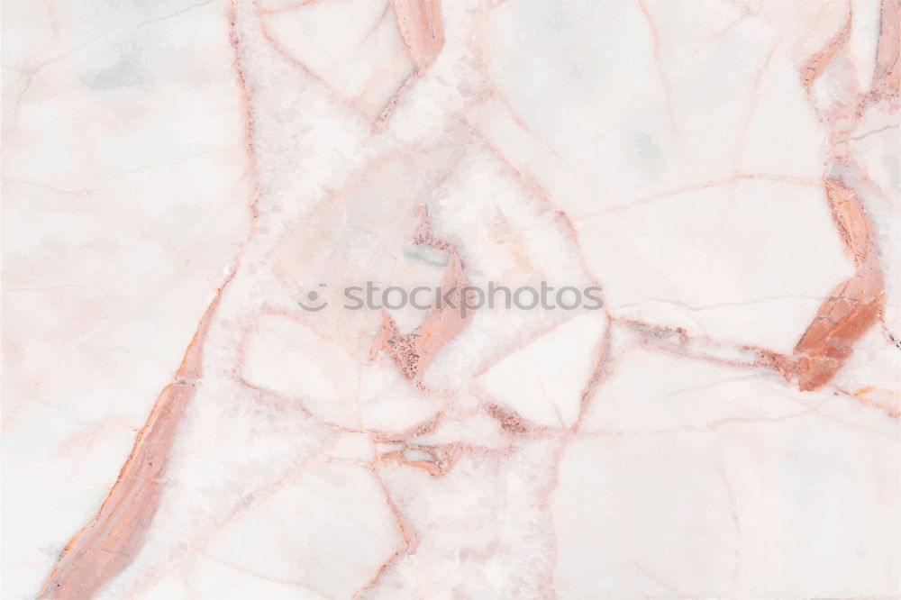 Similar – Image, Stock Photo herbarium Design