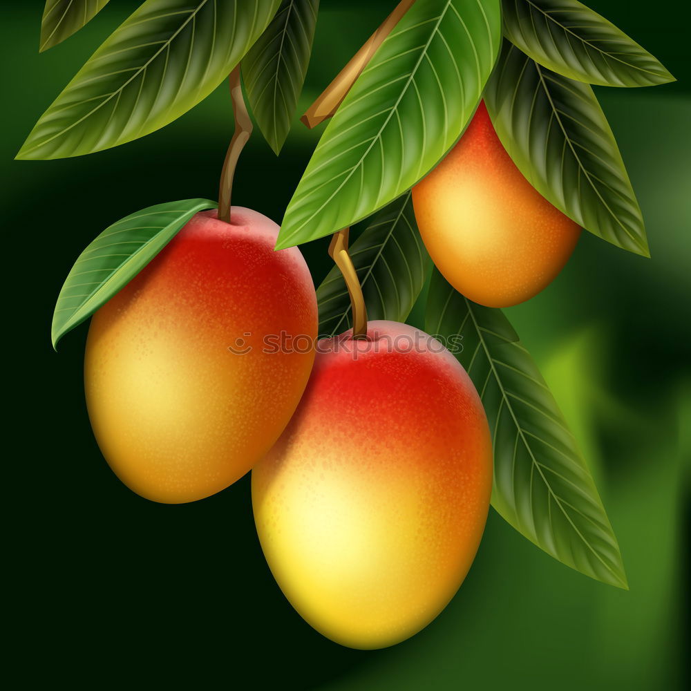 Similar – Image, Stock Photo Trash 2018 Apples, now in storage.
