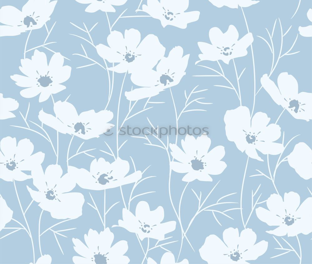 Similar – Flowers background photo wall