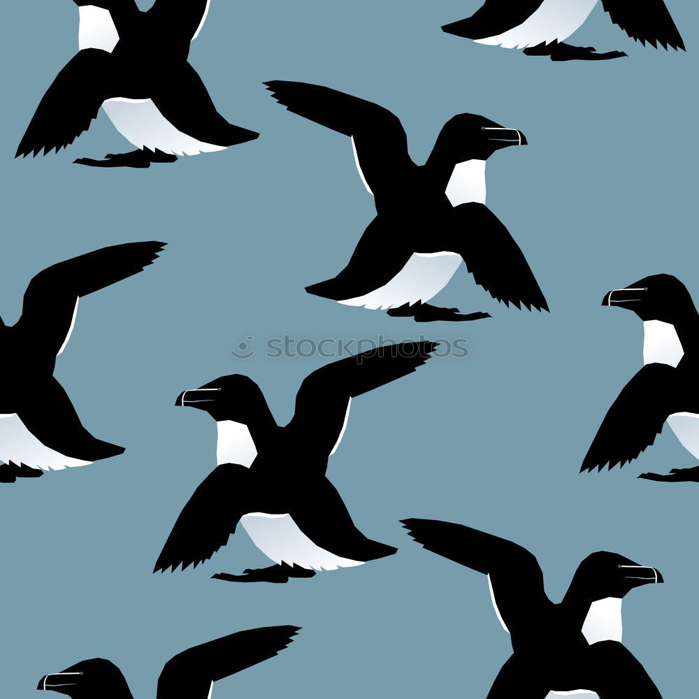 Similar – Image, Stock Photo seagull in flight