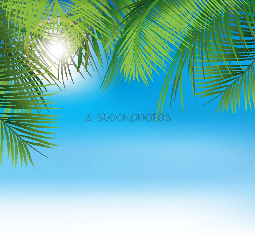 Similar – paradise Palm tree Ocean