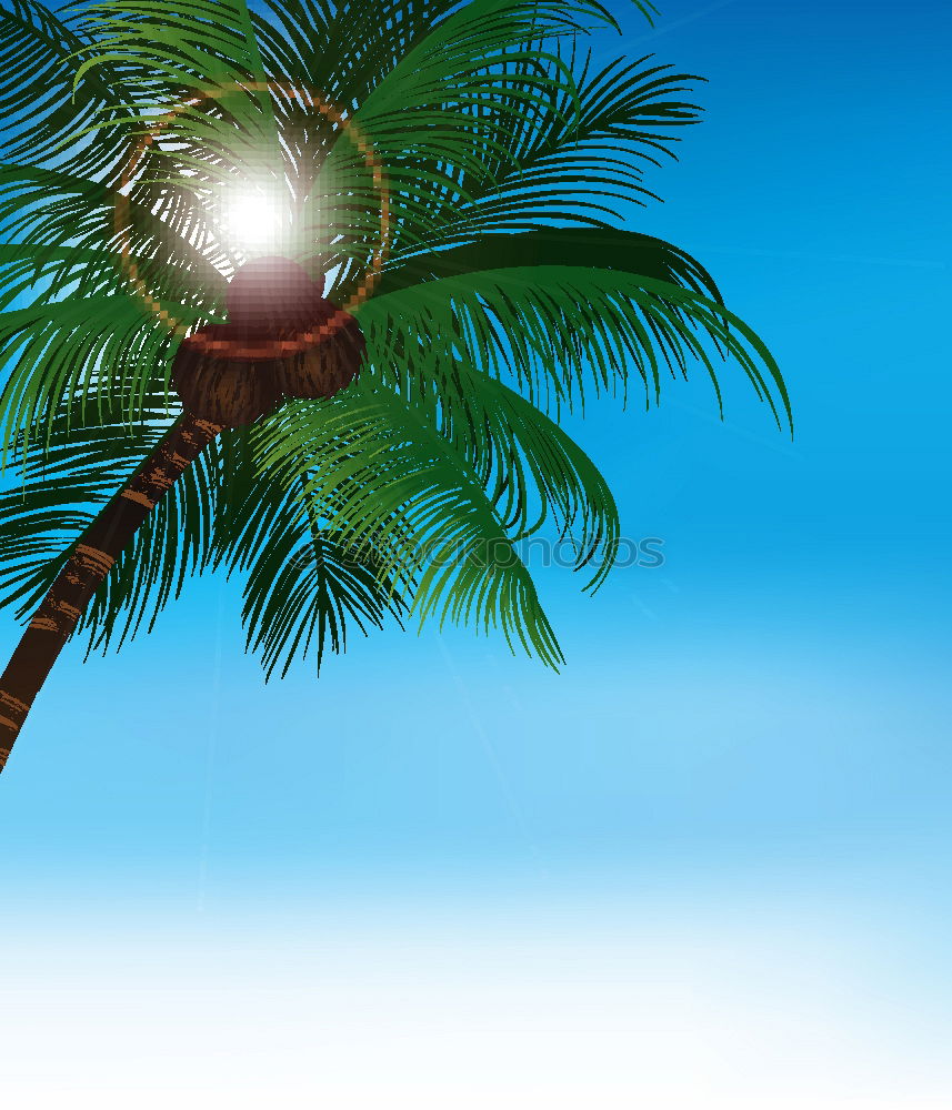 Similar – paradise Palm tree Ocean