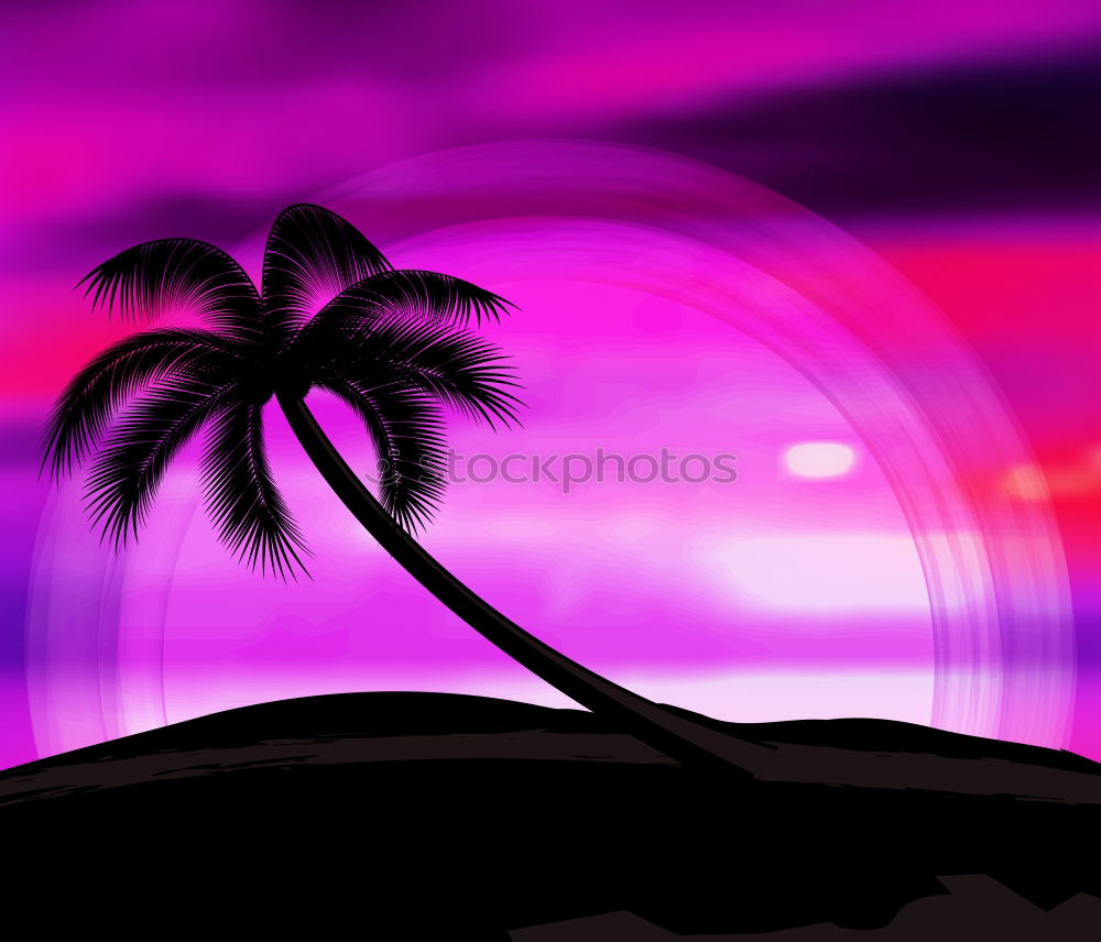 Similar – palm tree on purple background