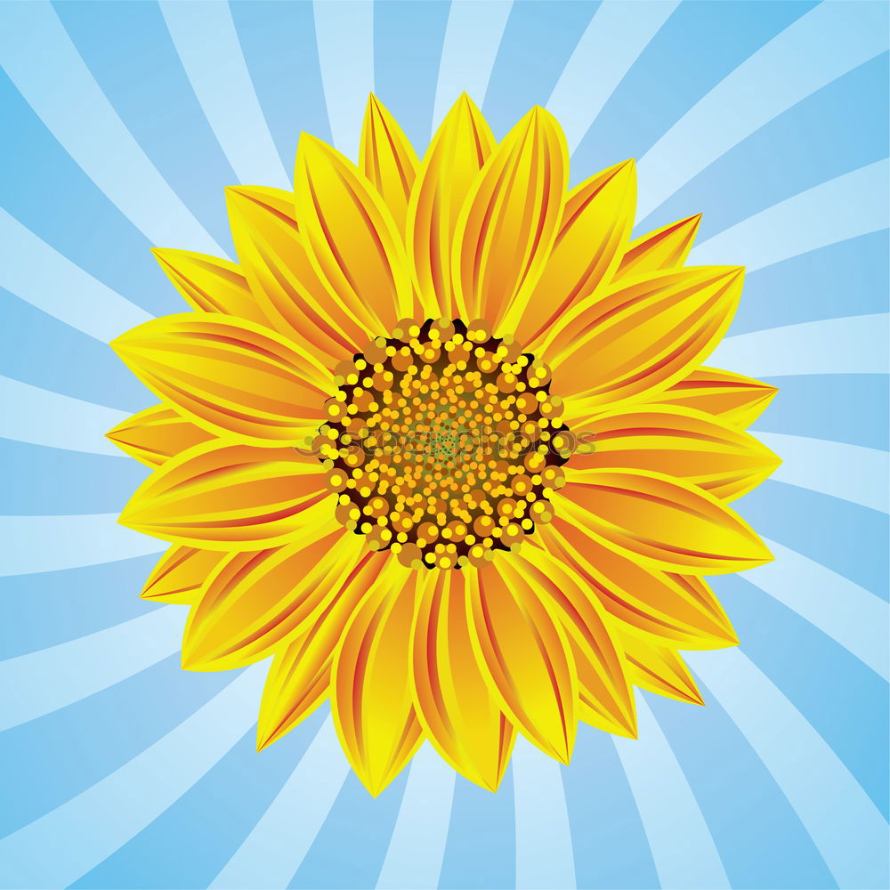 Similar – Image, Stock Photo awesome sunflower III