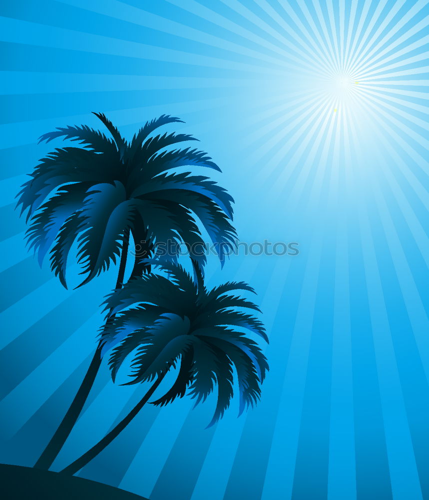 Similar – PALMS IN BLUE Palm tree