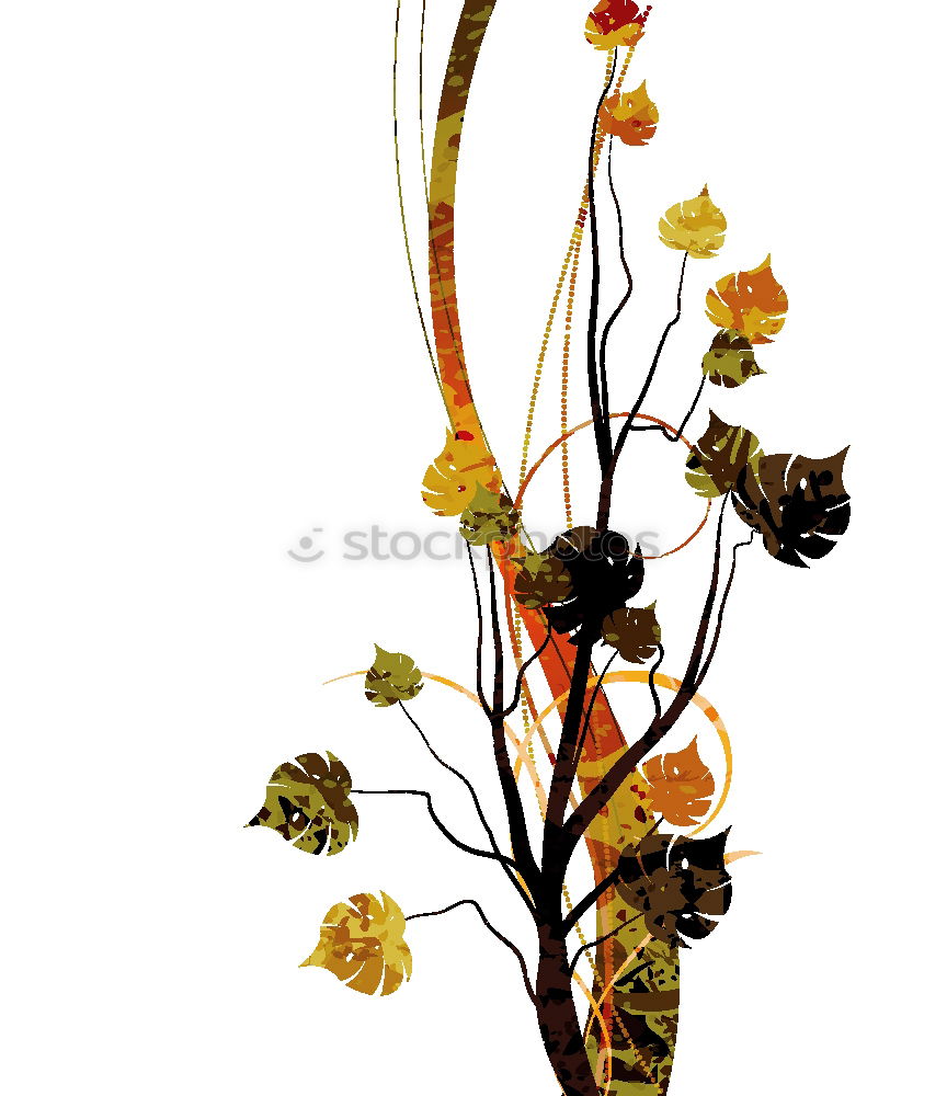 Similar – noose Dried flower Plant