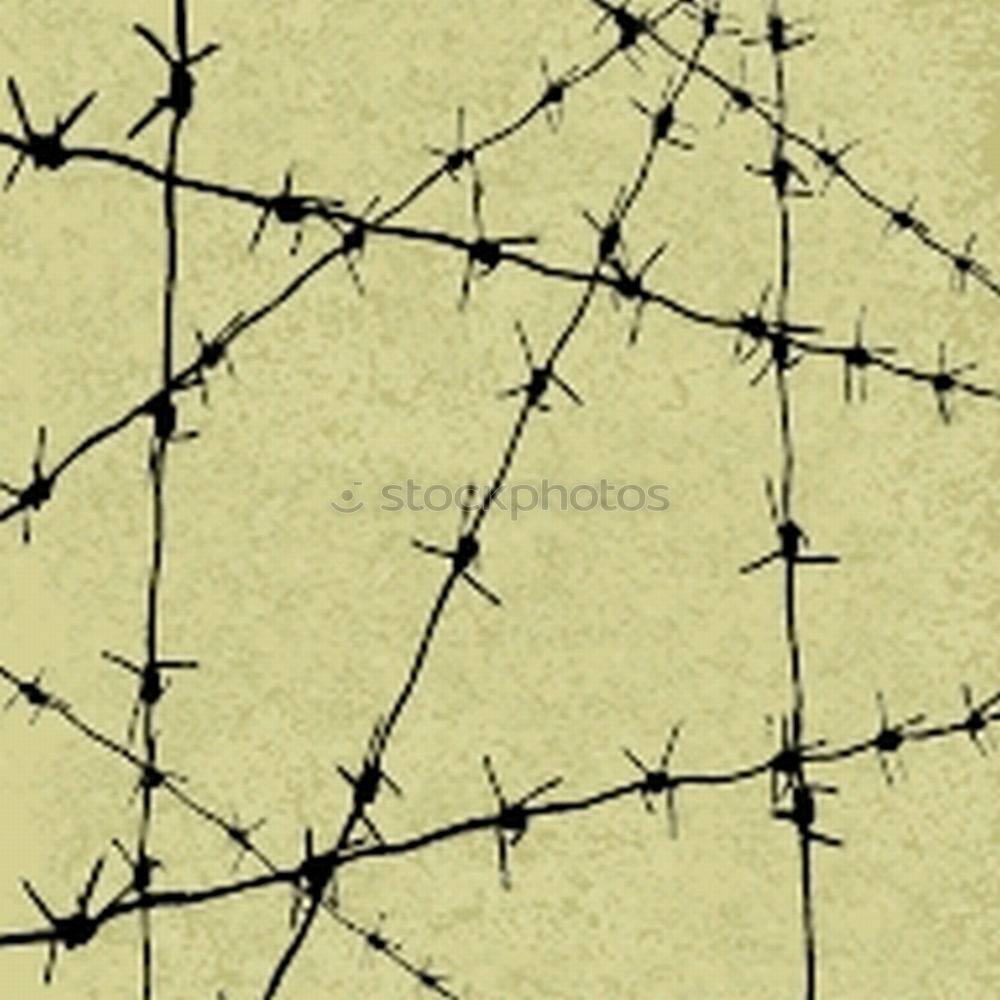 Similar – Image, Stock Photo Spiked.wire.fence Fence