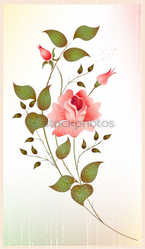 Similar – Image, Stock Photo Pink roses, romantic greeting card