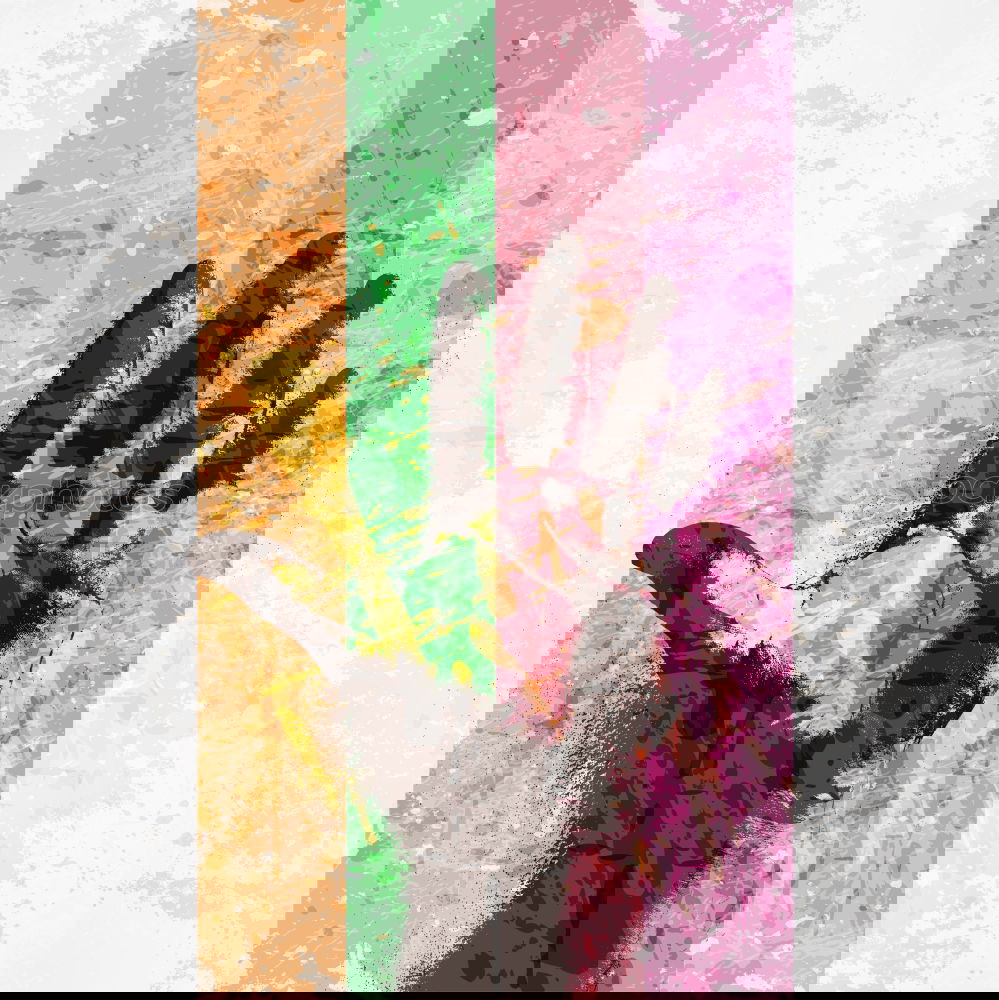 Similar – Image, Stock Photo shake on it Hand