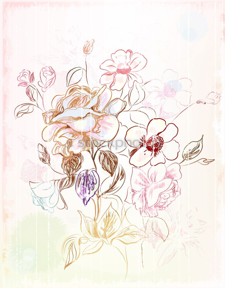 Similar – Image, Stock Photo Pink flowers on blue background