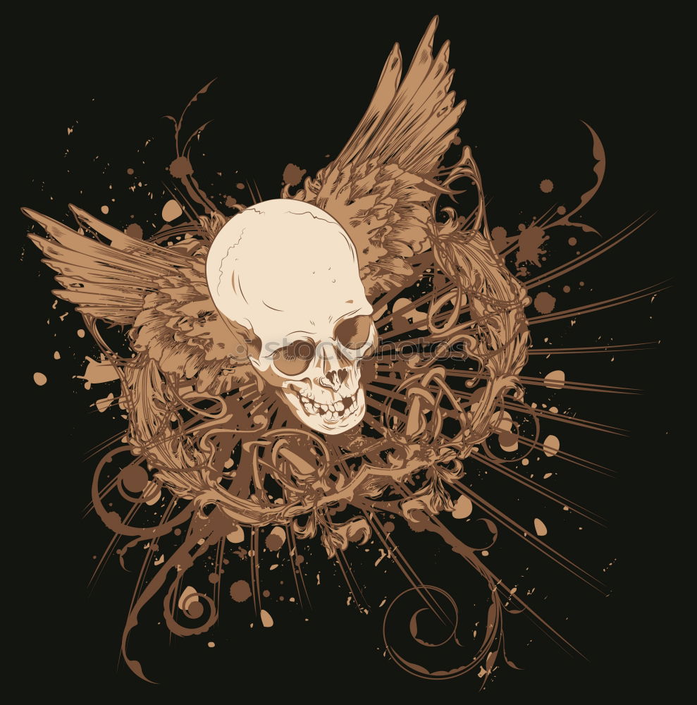Similar – Foto Bild Memento Mori 2 Skelett